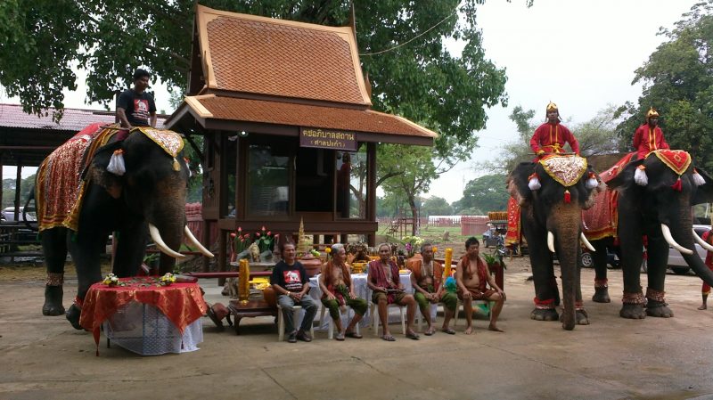 working elephant village